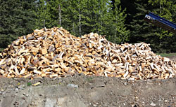 Alberta firewood for sale